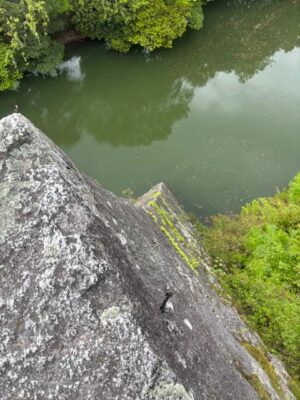 image1_2.jpeg