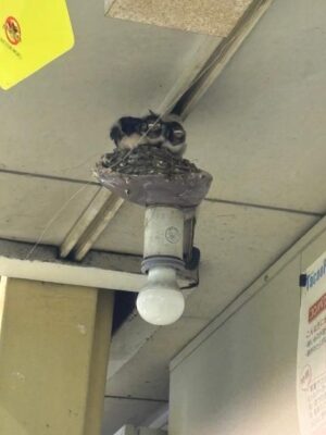 image1.jpeg