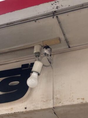 image3.jpeg